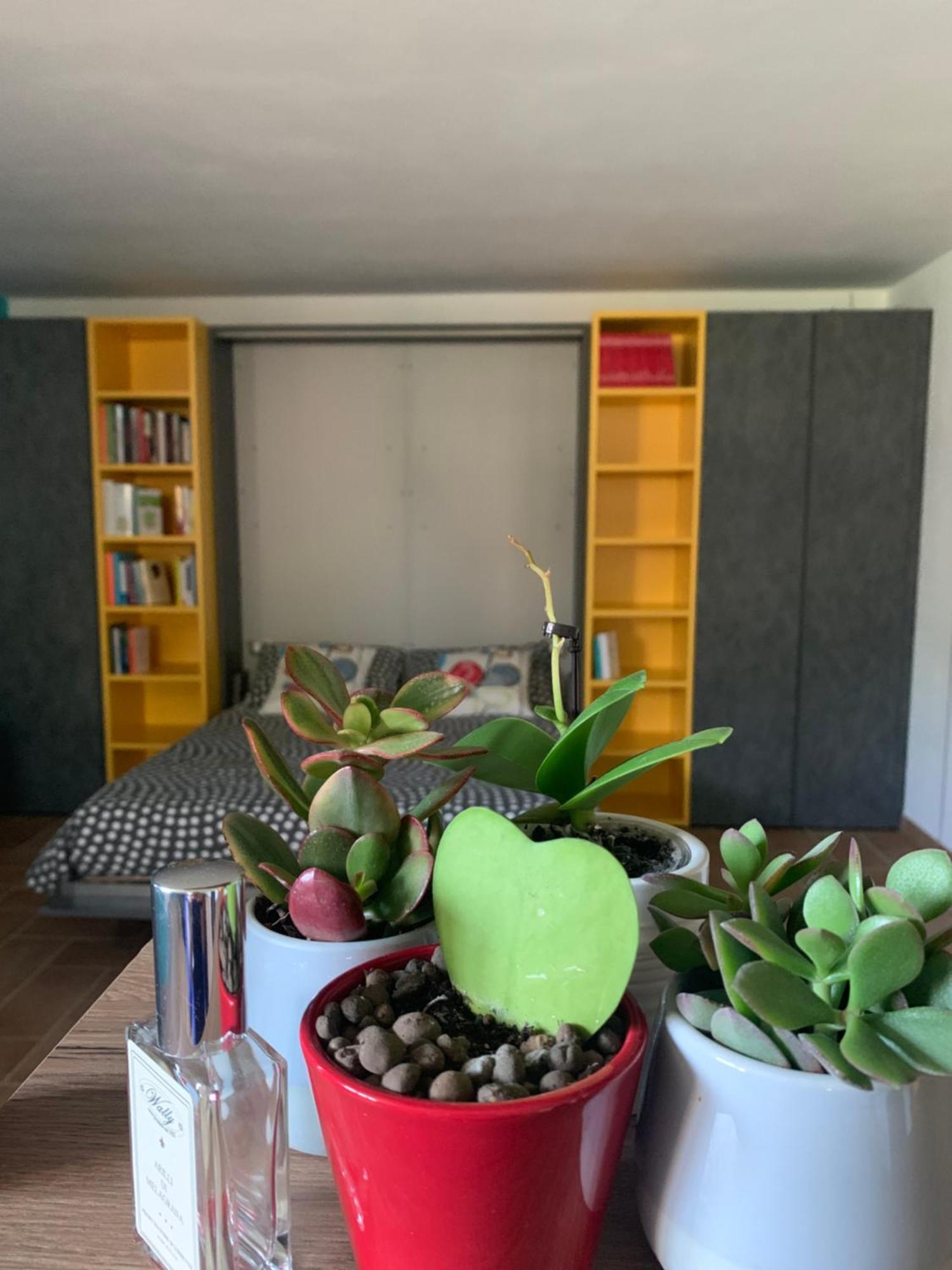 Pontecchio Marconi Appartamento Con Giardino מראה חיצוני תמונה
